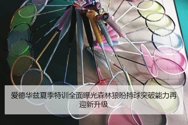 爱德华兹夏季特训全面曝光森林狼盼持球突破能力再迎新升级